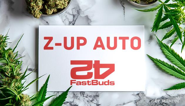 Гроурепорт сорта Z-Up Auto от FastBuds