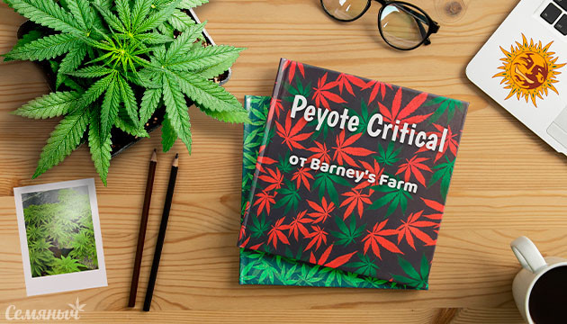 Гроурепорт сорта Peyote Critical